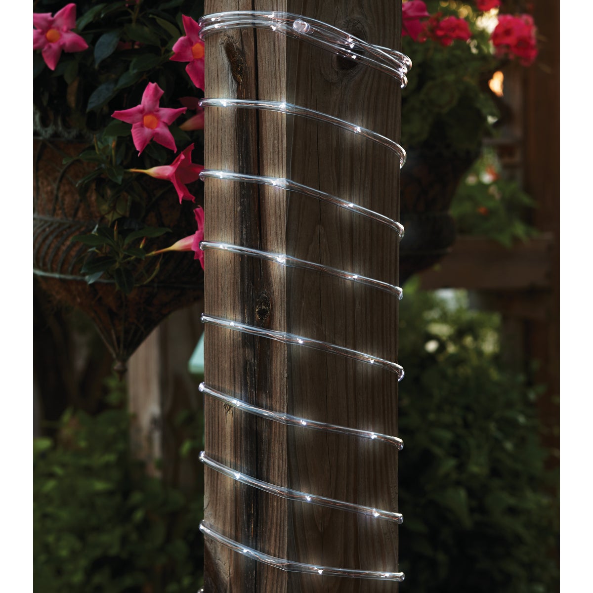 Outdoor Expressions 28 Ft. 100-Light LED Cool White Solar Rope Light Image 2