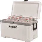 Igloo Marine Ultra 70 Qt. Cooler, White Image 6