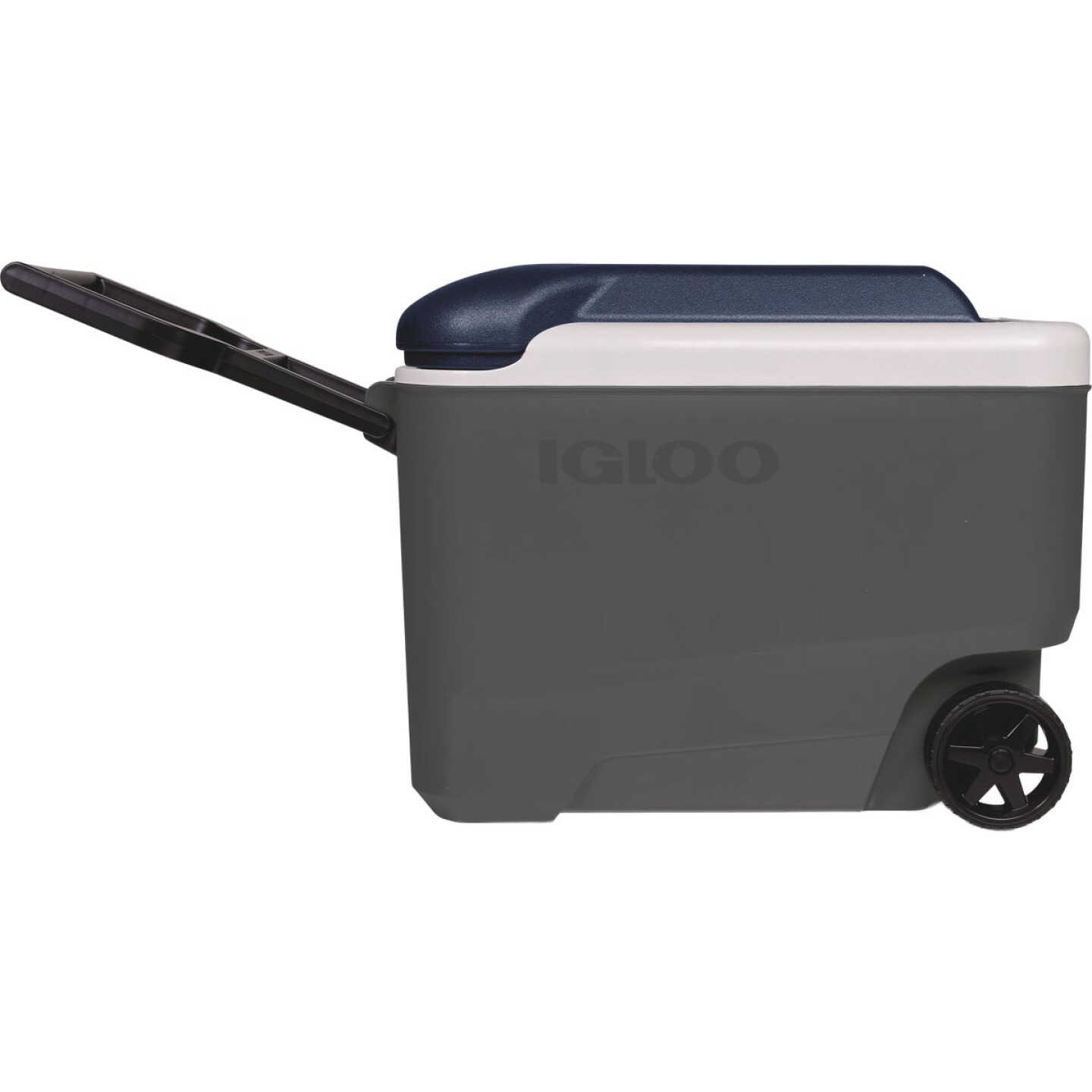 Igloo MaxCold 40 Qt. Roller Cooler, Ash Gray & Aegean Sea Image 3