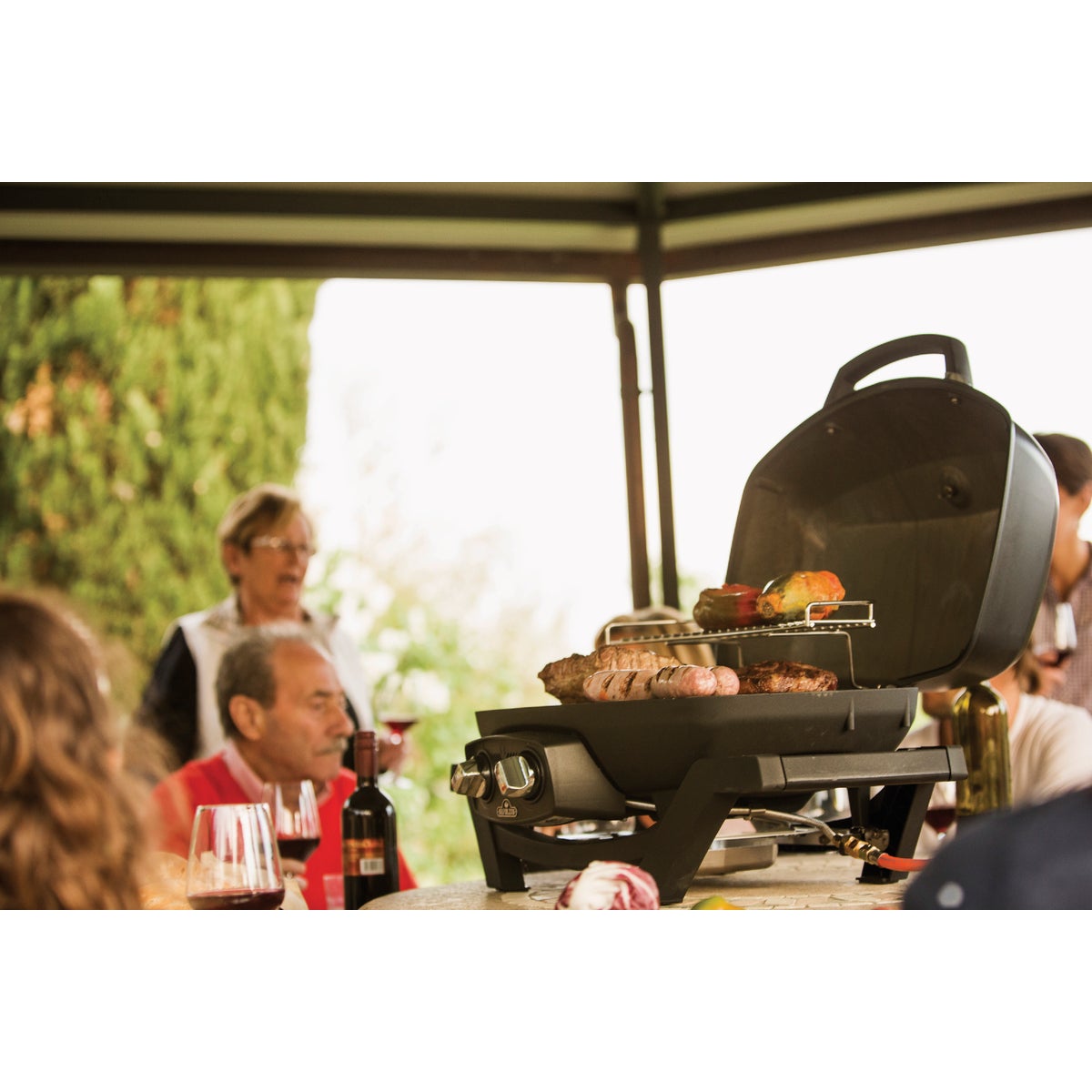 Napoleon TravelQ PRO285 Portable Natural Gas Grill, Black Image 3