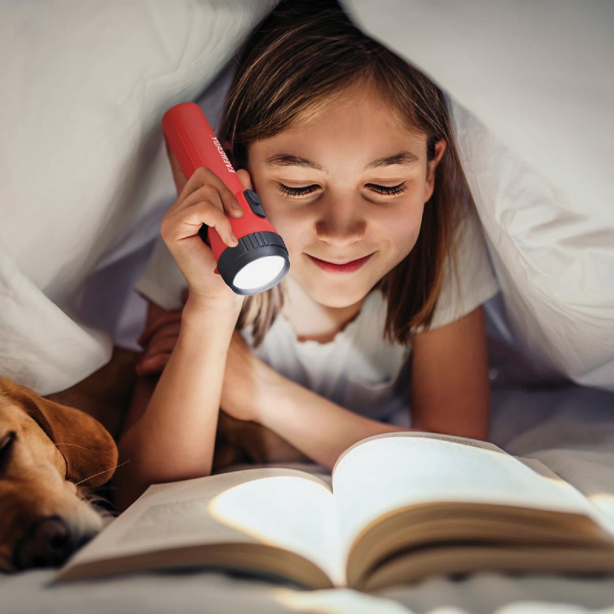 Eveready 7 Lm. LED 2D General Purpose Flashlight Set Image 3