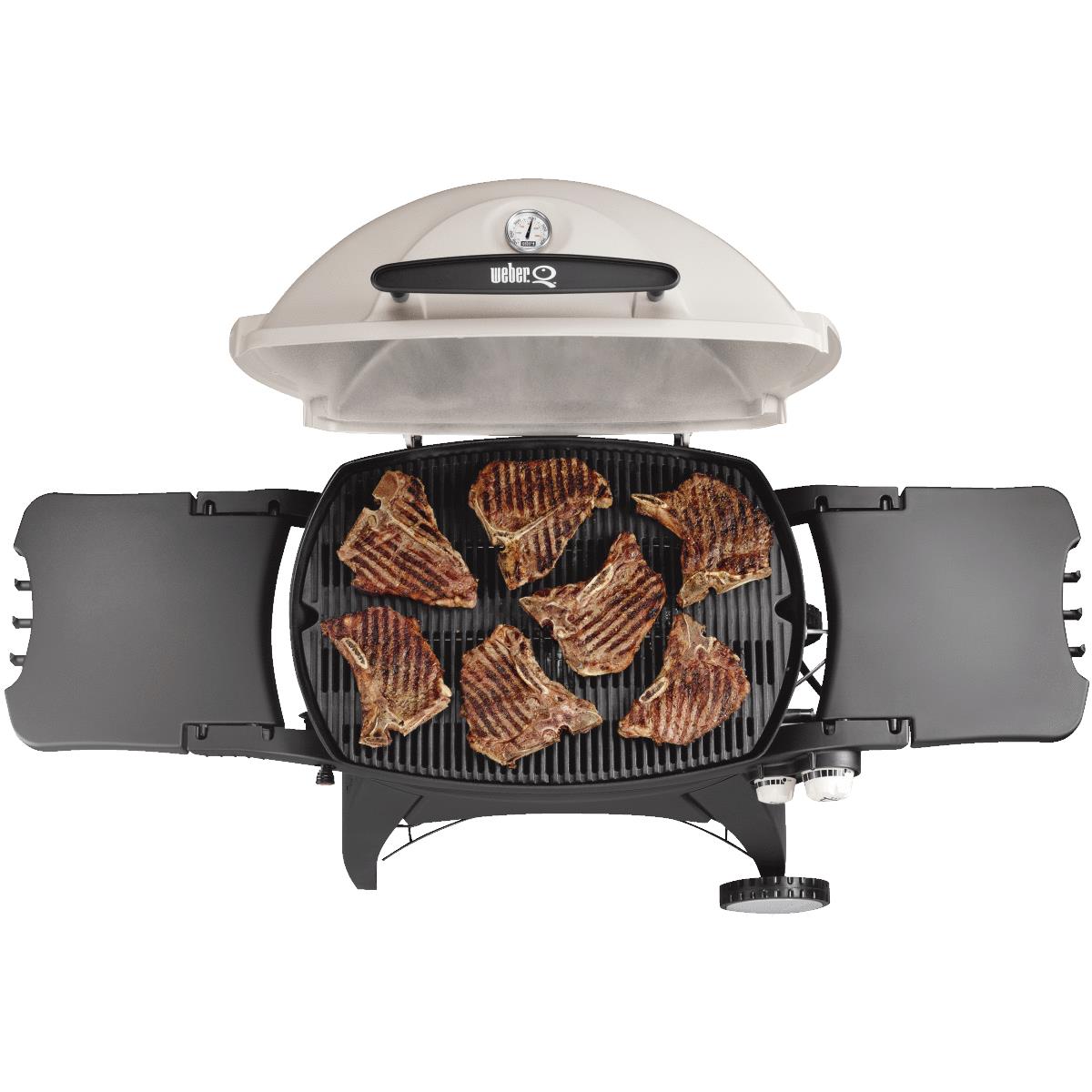 Q300 LP GAS GRILL Image 1