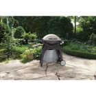 Q300 LP GAS GRILL Image 3