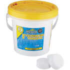 15LB 3" CHLORINE TABLETS Image 1