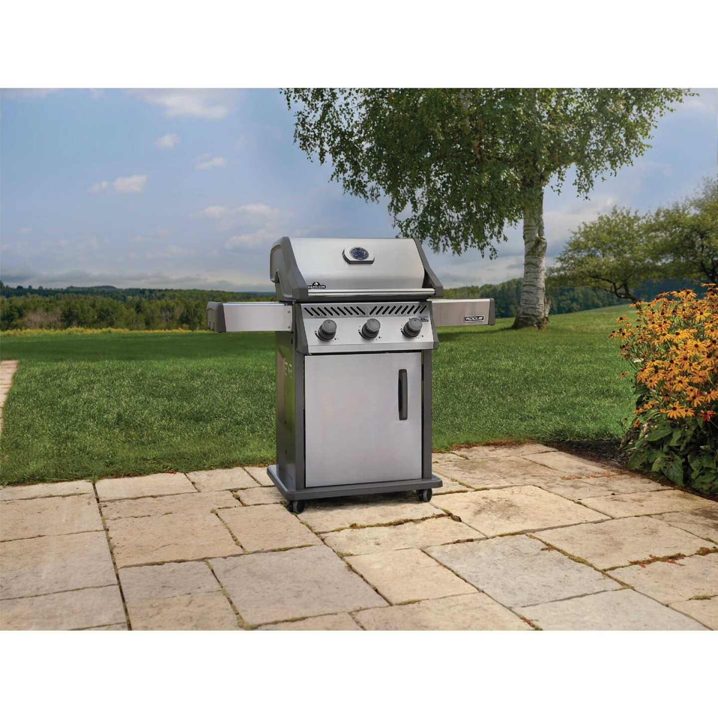 Napoleon Rogue 425 3-Burner Natural Gas Grill, Stainless Steel Image 2