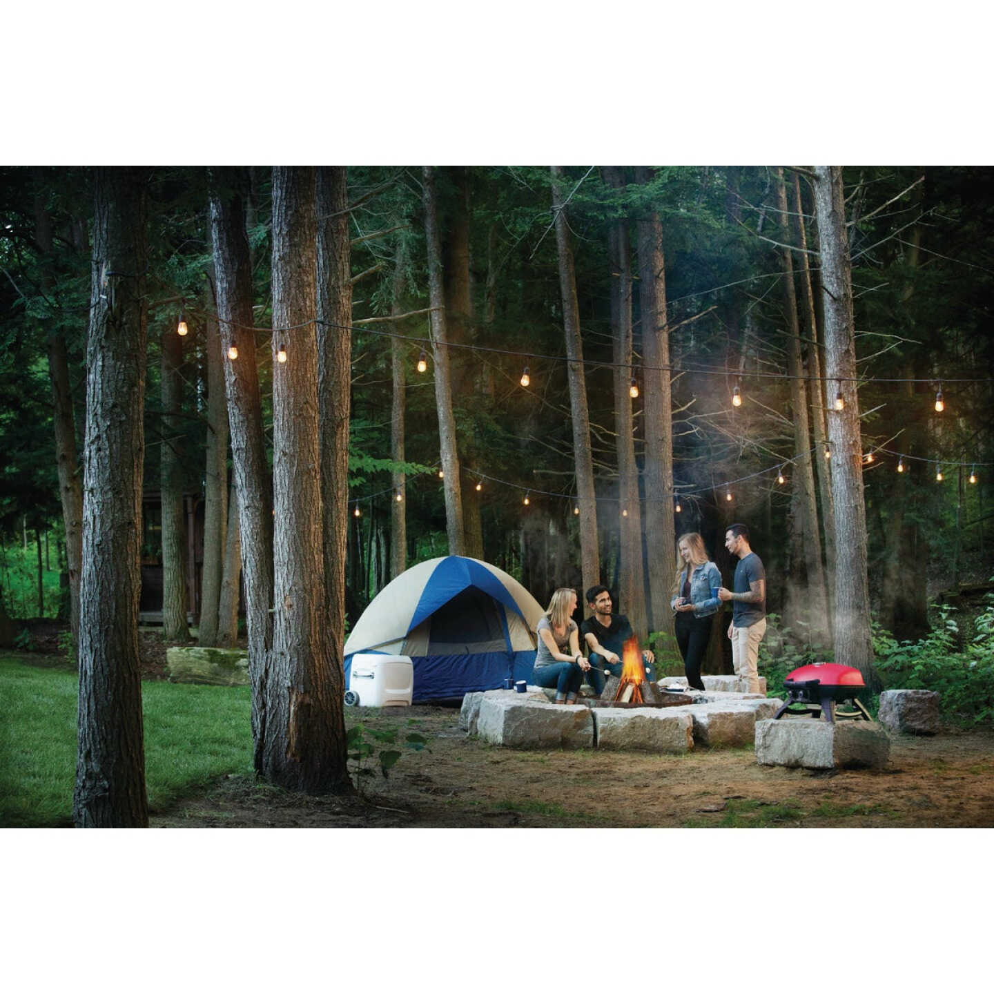 Napoleon TravelQ 285 Portable Propane Gas Grill with Griddle, Red Image 5