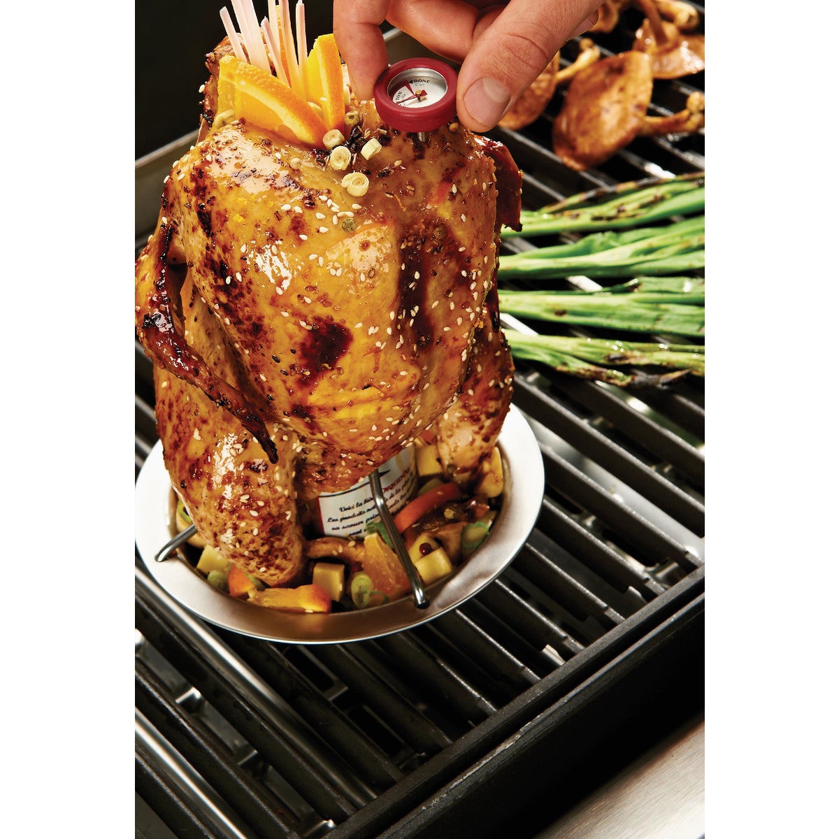 Broil King Stainless Steel Beer Can Chicken Roaster Image 2