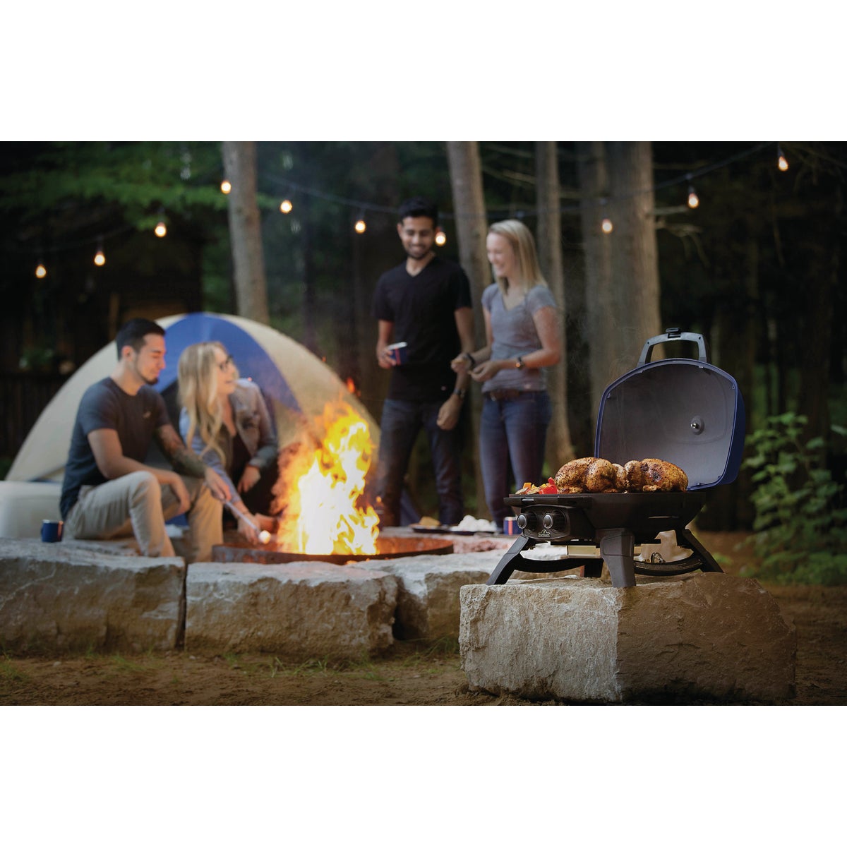 Napoleon TravelQ 285 Portable Propane Gas Grill, Blue Image 3