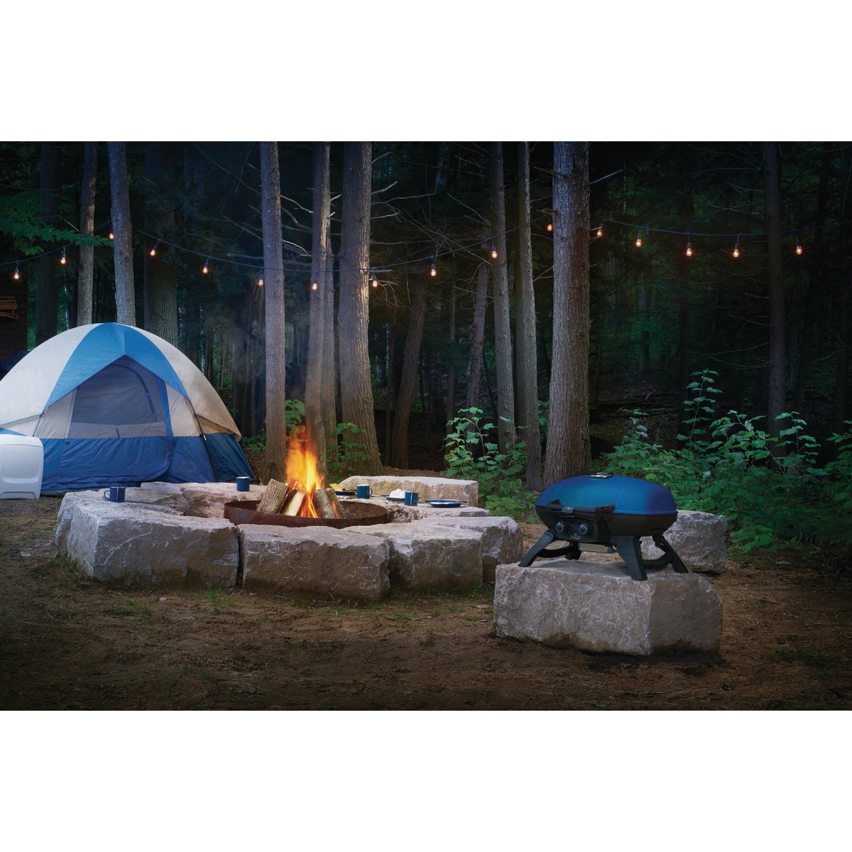 Napoleon TravelQ 285 Portable Propane Gas Grill, Blue Image 2