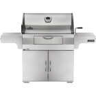 Napoleon Professional Charcoal Grill, Stainless Steel Image 1