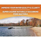 Crystal Blue Pond Booster 1 Gal. Royal Blue Pond Dye & Bacteria Combo Water Treatment Image 3