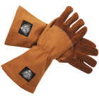 Pit Boss 1 Size Fits Most Tan Heavy-Duty BBQ Grilling Gloves (1-Pair) Image 1