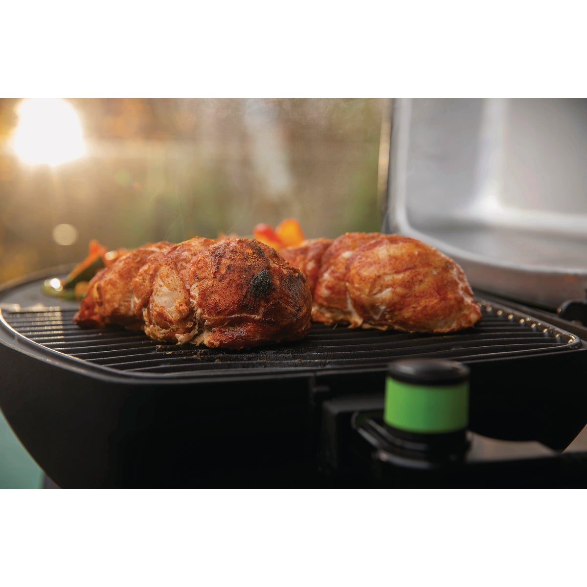 Napoleon TravelQ PRO285E Portable Electric Grill, Black Image 3