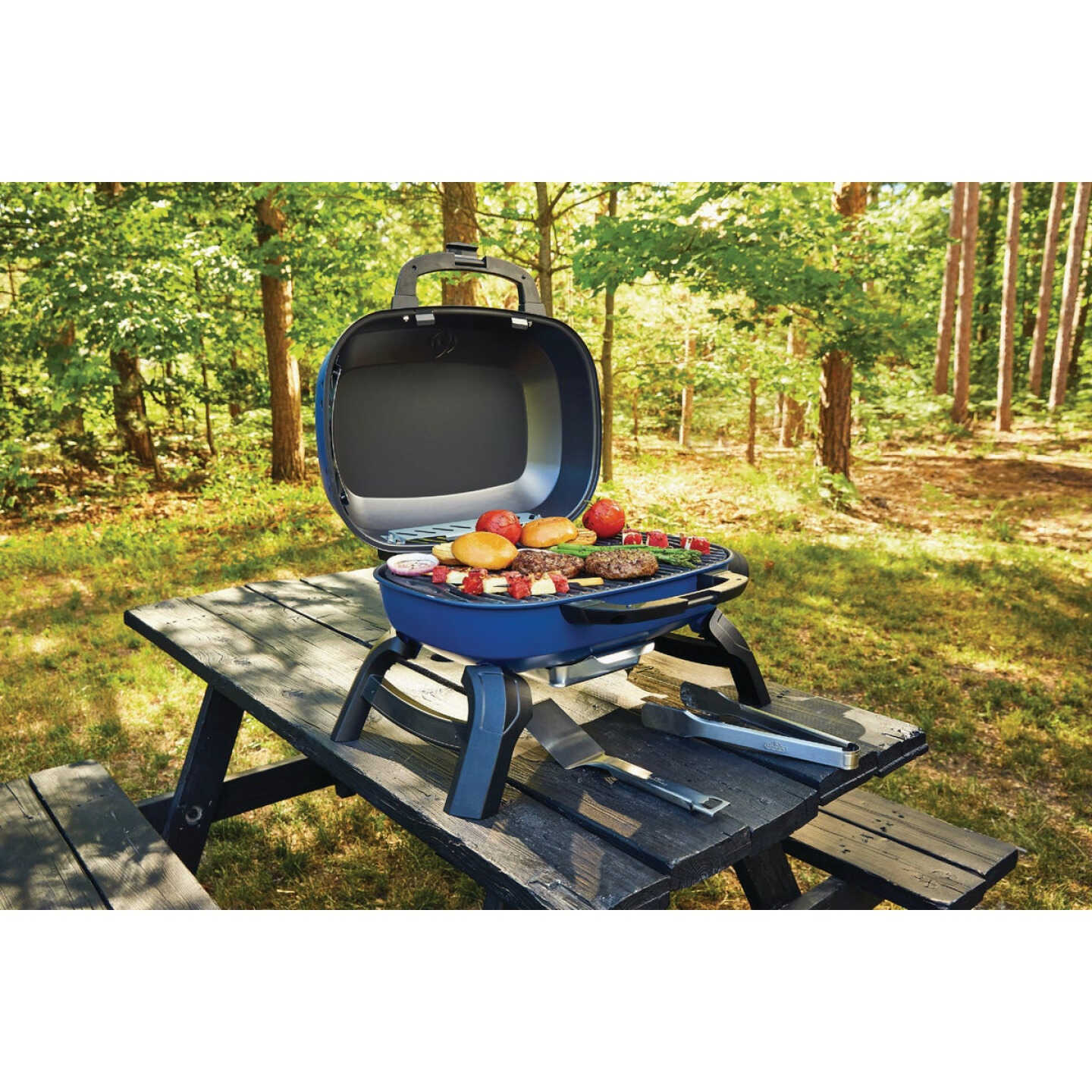 Napoleon TravelQ 240 Portable Propane Gas Grill, Blue Image 4