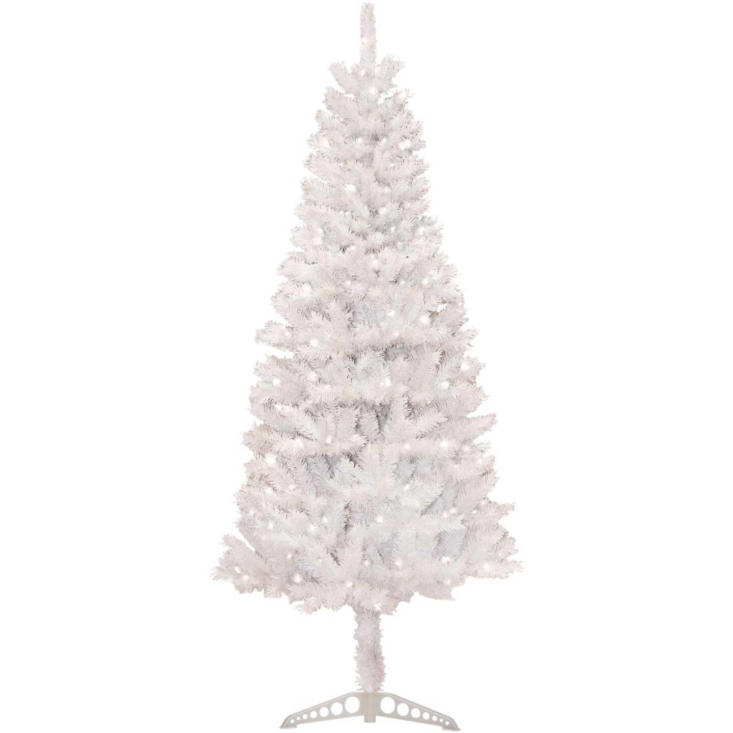 6.5' WHITE TACOMA TREE Image 1