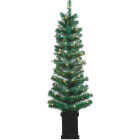 2 4' P/L POTTED TREE Image 1