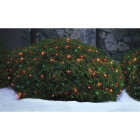 Home Impressions Multi 150-Bulb Mini Incandescent 4 Ft. x 6 Ft. Heavy-Duty Net Light Set Image 3