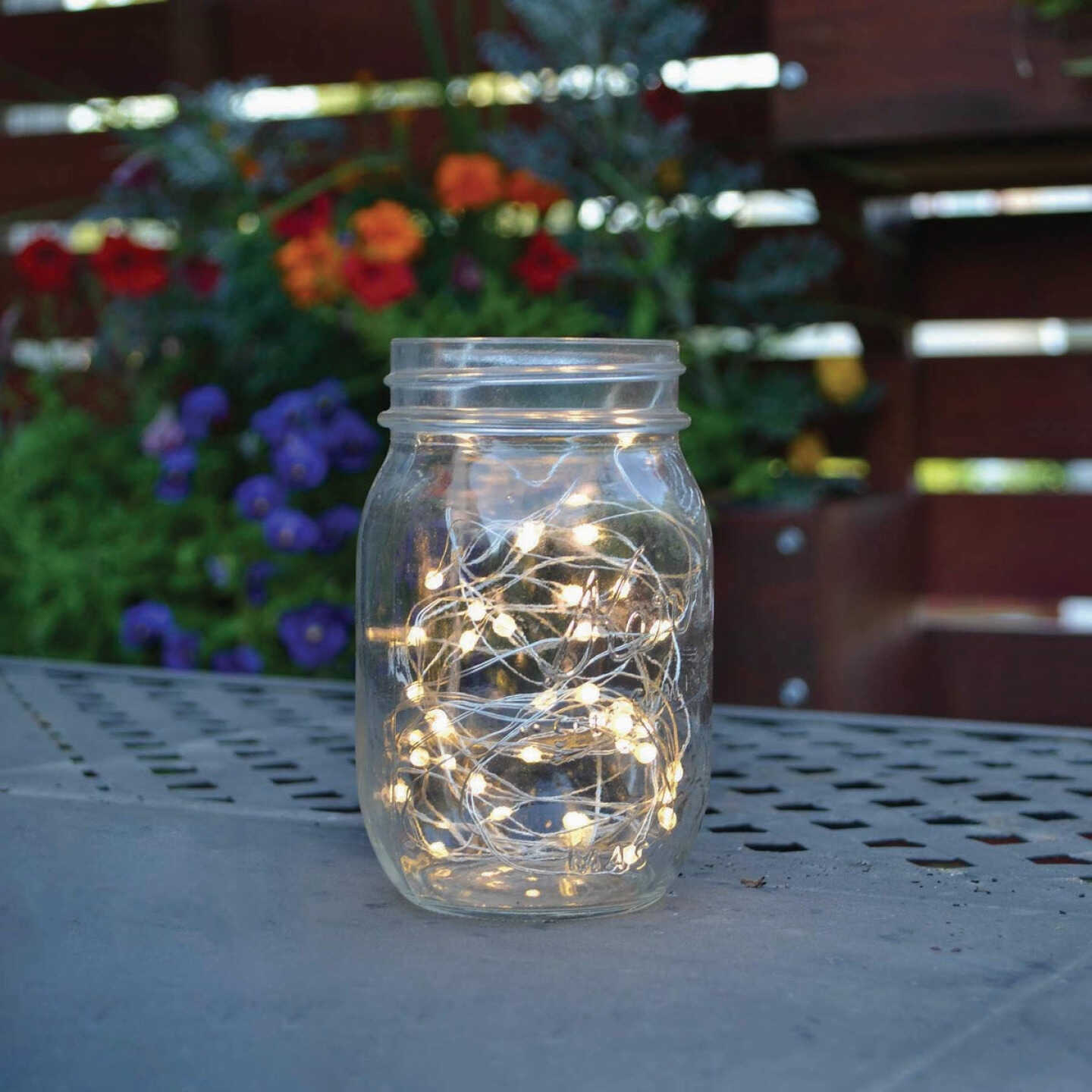 Holiday Bright Lights 50-Bulb Warm White Seed Micro LED Light Set with Silver Wire Image 1