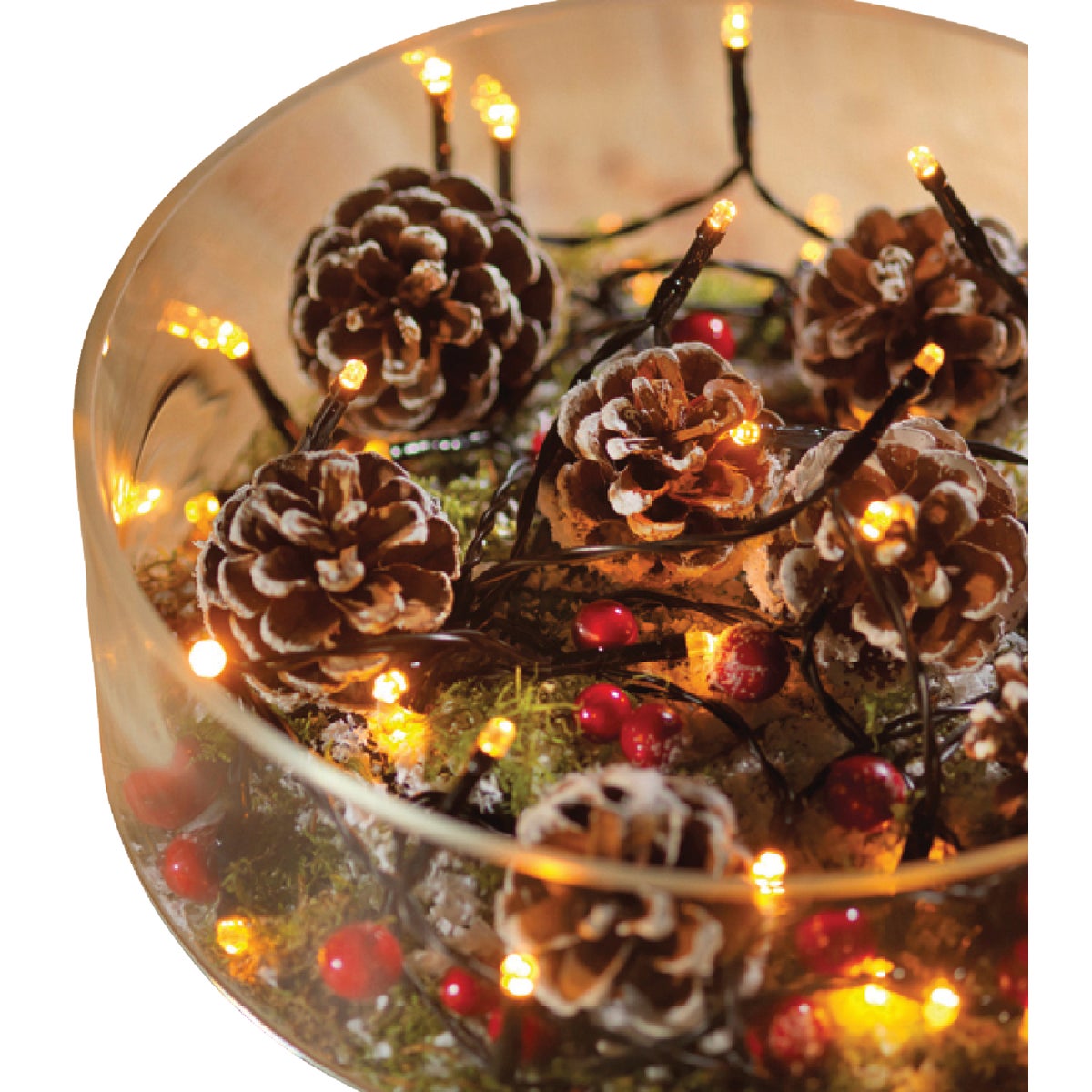 Lumineo Durawise Warm White 48-Bulb 3mm LED Battery Operated Light Set Image 3