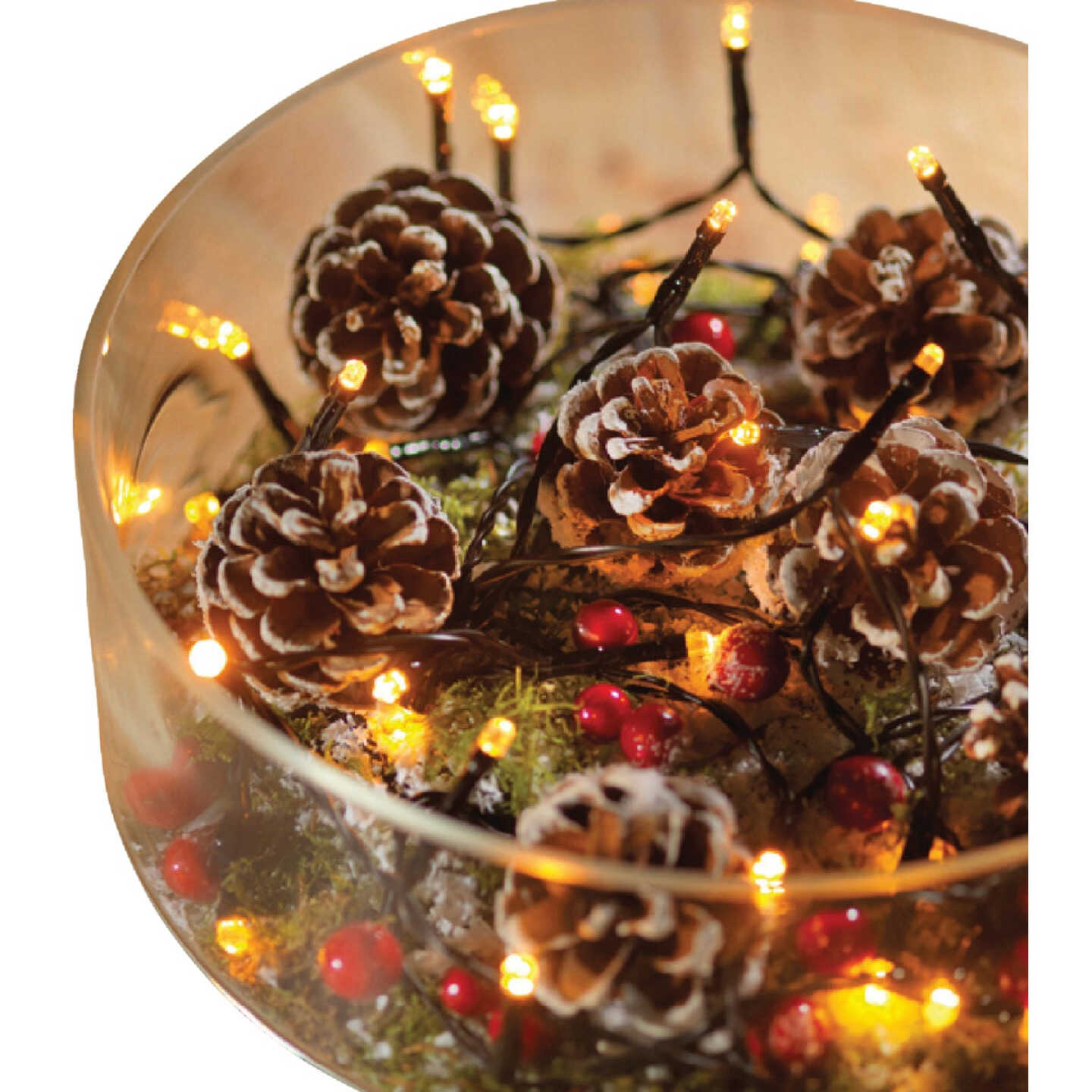 Lumineo Durawise Warm White 48-Bulb 3mm LED Battery Operated Light Set Image 3