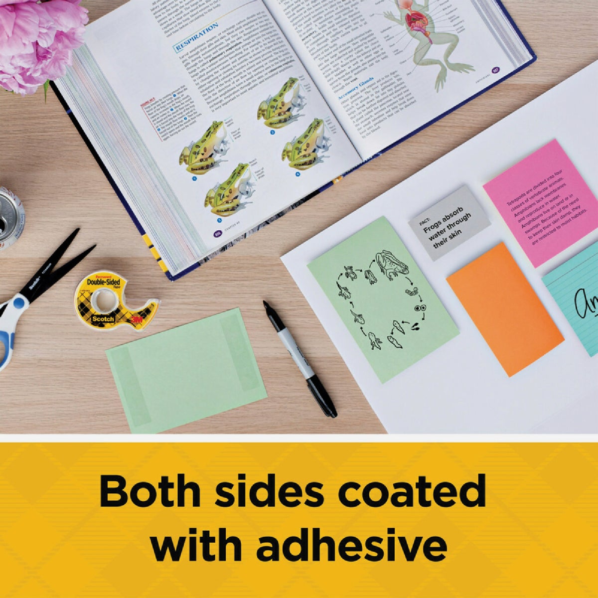 Scotch Permament Double Sided Tape, 1/2 In. x 250 In. Image 2