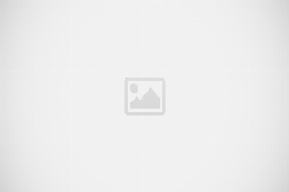 Muck Truck Gas Powered Wheelbarrow