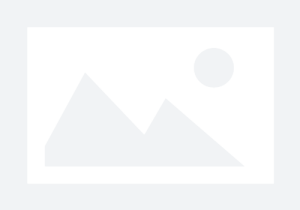 Wacker Compacter Vibratory Plate 19.25"